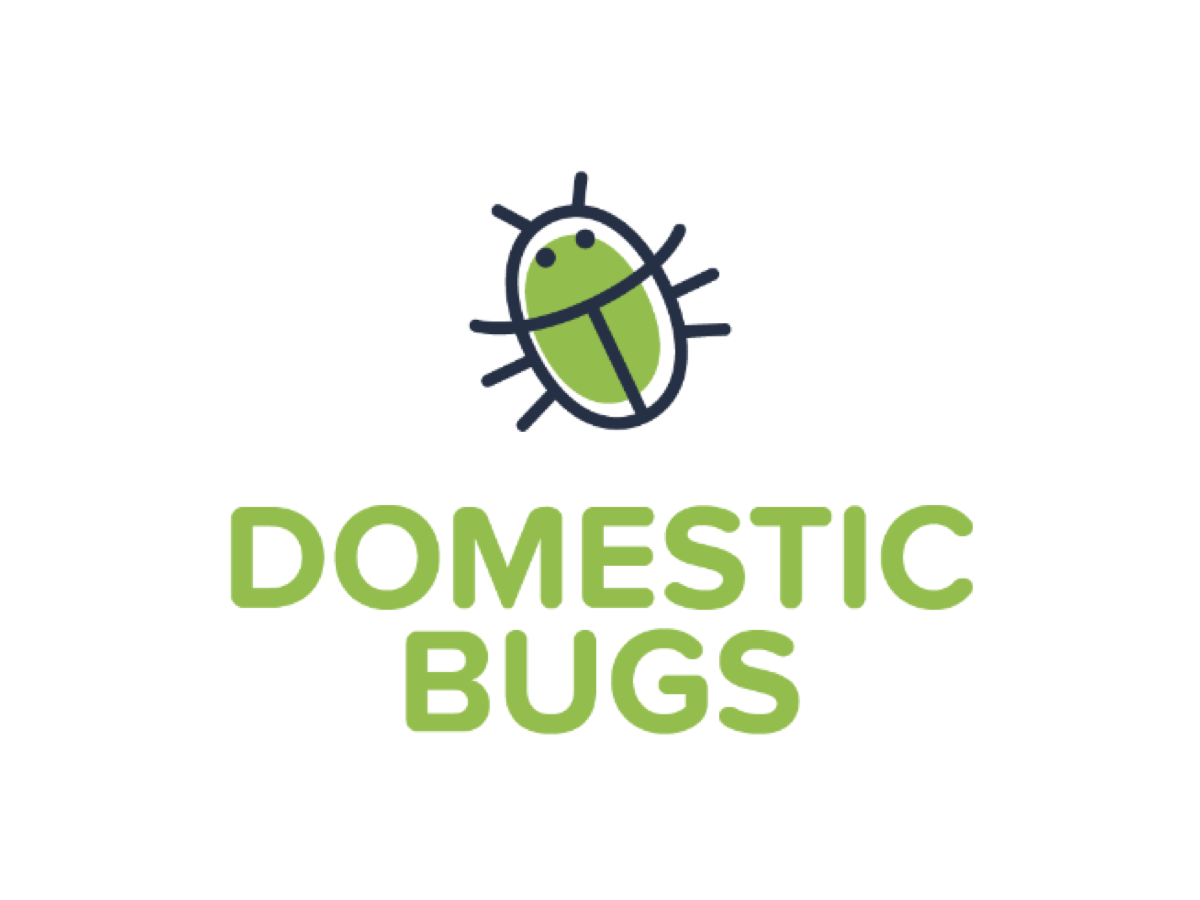 domestic bugs logo
